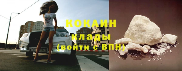 прущие грибы Нефтекумск