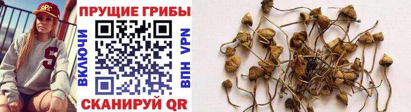Галлюциногенные грибы Magic Shrooms Теберда